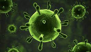 The bacteria is known to be originated from. Grozna Bakteria New Delhi Zamkniety Oddzial W Piotrkowie Trybunalskim Hellozdrowie