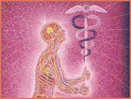 Behind Closed Eyes An Ayahuasca Experience The Nerve Blog Blog Archive Boston University