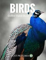 Logo lounge includes 2,000 international identities by leading designers. Birds Coffee Table Book Series Paperback May 9 2017 Buy Online In Andorra At Andorra Desertcart Com Productid 179354290