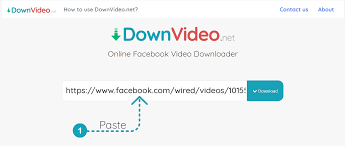 After the company's founding in 2005, youtube rose quickly through the ranks of online video websites to become an industry leader that streams more than a billion hours of video a day. Online Facebook Video Downloader