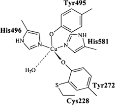 ),hscc(high speed counter current chromatography),preperative hplc,production/process hplc,smb uv 6000 is special designed for preparative hplc system. Enzyme Based Amperometric Galactose Biosensors A Review Springerlink