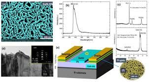 A member of the governing people's action party (pap) , he holds the pap chairmanship and was appointed as the minister for trade and industry by prime minister lee hsien loong. Ultrafast H2 Gas Nanosensor For Ppb Level H2 Gas Detection Based On Gan Honeycomb Nanonetwork Sciencedirect