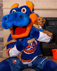 New york islanders @ arizona coyotes (self.newyorkislanders). New York Islanders On Twitter Votes For Me And My Floofy Fren In The Nhlfanchoice Awards Please Tori Probably Make Sure To Get Your Votes In For Tori And Sparky