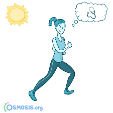 Find reviews and recommendations for the latest health & wellness products. Lifestyle The Importance Of Health Wellbeing For The Health Professional