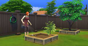 When your seeds are planted, be sure to use the tend garden action to make your sim work in the garden and do whatever is appropriate for each plant. Gardening The Sims 4 The Sims Wiki Fandom