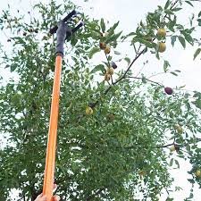 Machine A Recolter Les Olives Et Machine A Secouer Les Olives Vibrantes Buy Machine A Recolter Les Olives Et Machine A Secouer Les Olives Vibrantes Machine A Recolter Les Oliviers Machine A Recolter
