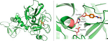 Antitarget, Anti-SARS-CoV-2 Leads, Drugs, and the Drug Discovery–Genetics  Alliance Perspective | Journal of Medicinal Chemistry