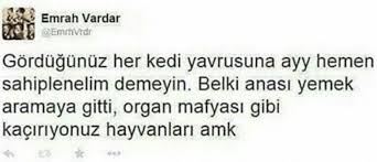 gugu kusu adli kullanicinin komik seyler panosundaki pin komik seyler komik capsler komik