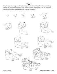 Learn To Draw Animals On Exploringnature Org Animal Drawings Tiger Drawing Drawing Lessons