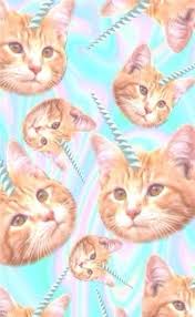 Unicorn Cat Wallpaper Cat Art Unicorn Cat