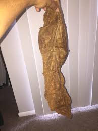 Applicable to backwoods, sweet woods, games and any other type of leaf tobacco. I Went To The Headship For Backwoods I Got Something Even More Fronto Trees