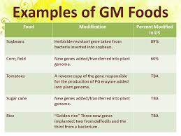 Genetic technologies are changing the way we produce food, improving crop yield and preventing catastrophic losses from droughts, floods and pests. Genetically Modified Foods Advantages Disadvantages Ppt Video Online Download