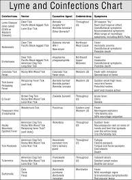 Lyme Disease Description Chart Autoimmune Diseases Lyme