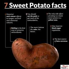7 Sweet Potato Facts Infographic Resep Sehat Resep