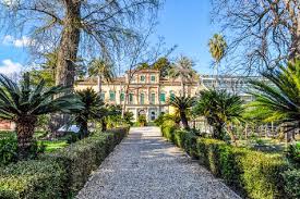 But have a look at my photos and you'll see what it's all about! Der Botanische Garten Der Universitat In Pisa Mycitytrip Com