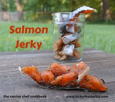 salmon y homemade dog treats