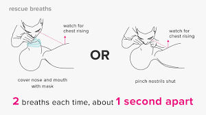 American health care academy offers online cpr certification and online first aid certification courses for the community, school, workplace and healthcare providers. How To Perform Cpr Hands Only And Mouth To Mouth
