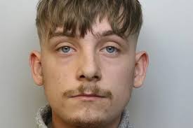 Staffordshire boy racer ploughs into car meet crowd