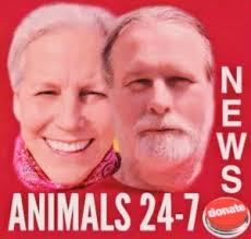 Former child star chimp Cobby, 63, had troubling hidden past