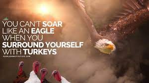 You Can T Soar Like An Eagle When You Surround Yourself With Turkeys