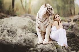 Papel de parede jundiai, jundiaí. Tigre Branco Menina Tigre Fotografia Hd 4k 5k Hd Papel De Parede Wallpaperbetter