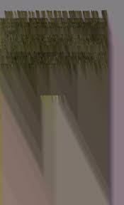 Image result for Tephrosia argyrolampra