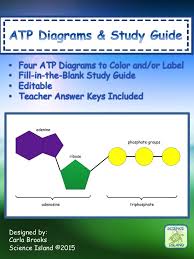 Atp Diagrams Study Guide Chemical Energy For Cellular Work Chemical Energy Biology Classroom Atp Biology