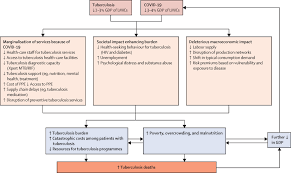 Image result for Tuberculosis Resources