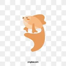 เส ยงห วเราะของปลาแฟนซ คาร พ ภาพต ดปะปลา ห วเราะออกมาด ง ๆ ปลาคราฟภาพ png และ psd สำหร บดาวน โหลดฟร หน งส อการ ต น แนวปะการ ง ปลา