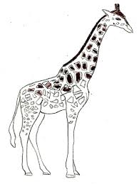 We did not find results for: How To Draw A Giraffe Comment Dessiner Une Girafe Dessin Comment Dessiner