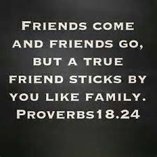 Pin On Forever Friends