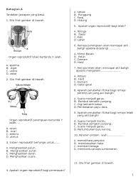 Kesihatan diri dan reproduktif pendidikan kesihatan tahun 5 sistem reproduktif manusia.topik 1 dalam subjek pendidikan kesihatan tahun 5 ialah sistem reproduktif manusia. Ppt Pendidikan Kesihatan Thn 5