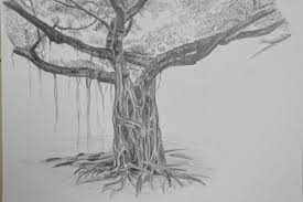 Drawing Of A Banyan Tree My Drawing Course