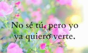 Frases De Quiero Verte Mi Amor Google Search Frases De Quiero Verte Quiero Verte Mi Amor Frases De Te Amo