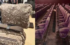 Bangunan ini dibangun dengan kawat baja yang dilapisi dengan beton, memberikan lekukan yang terbentuk sempurna. Ini Potret Sederet Barang Jualan Dan Gedung Bioskop Di Mall Berjamur Karena Lockdown