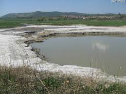 Am introdus n ndreptarul de fa acest capitol, care cuprinde apele minerale care se gsesc n comer, deoarece bolnavii solicit medicilor indicaii de crenoterapie postcur. Poftiti La Bai Va Rog Impresii DescoperÄ Ardealul Excursii Èi CÄlÄtorii Amfostacolo