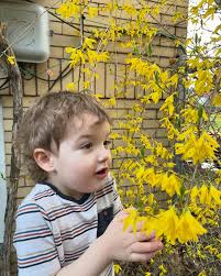 Patrick James Pio Walters