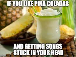 Pina Colada Memes Gifs Imgflip