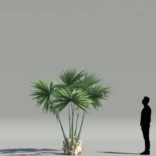 Pricing seemed fair, made arrangements for delivery promptly and was very customer oriented. Dwarf Palmetto V3 The3dgarden Library For 3ds Max