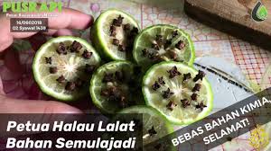 Lalat merupakan sejenis serangga yang mampu terbang dan boleh menyebarkan penyakit, diisebabkan cara permakanan dan sifatnya yang. Pusrapi Info Petua Halau Lalat Yang Berkesan Tanpa Racun Serangga Youtube