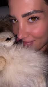 Dog Licks Human and Lost His Nose