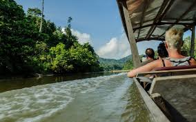 Why go to taman negara? Taman Negara National Park Tour From Kuala Lumpur