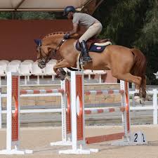 Voir plus d'idées sur le thème sport equestre, équestre sport equestre. Stuttgart Pour Kebir Et Quickly Abdelkebir Ouaddar Officiel Facebook