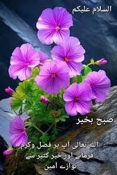 Image result for tbn:fWFGfe7mxNEQKM::www.feamman.com/wallpapers/Img-82755.jpg