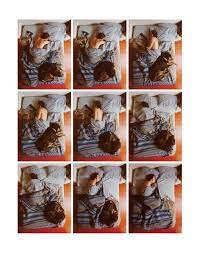 Pin On Photography Inspiration