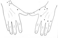 Mort aux vaches is the name of a series of albums released by the staalplaat record label in collaboration with the dutch radio station, vpro. Tatouage Code Des Points Sur Les Mains Toupouri