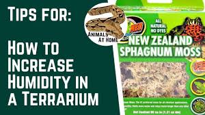 A good way to give your ball python's enclosure a humidity boost is to mist the tank. How To Increase Humidity In A Terrarium Animals At Home