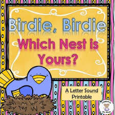 Birds That Start With The Letter N Beginning Middle And Ending Sounds Birdie Birdie Letter N Lettering Letter Sounds Letter N