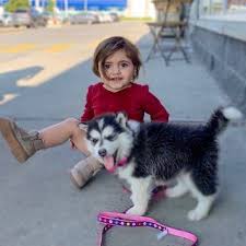 anas marwah انس مروة anasmarwah instagram photos and videos new baby products anasala family husky