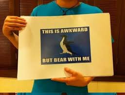 Awesome Marriage Proposal Done With Memes 21 Pictures Funny Pictures Quotes Pics Photos Images Videos Of Really Very Cute Animals